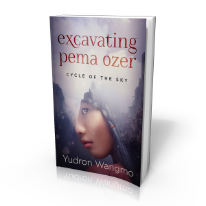 Excavating Pema Ozer - 3D